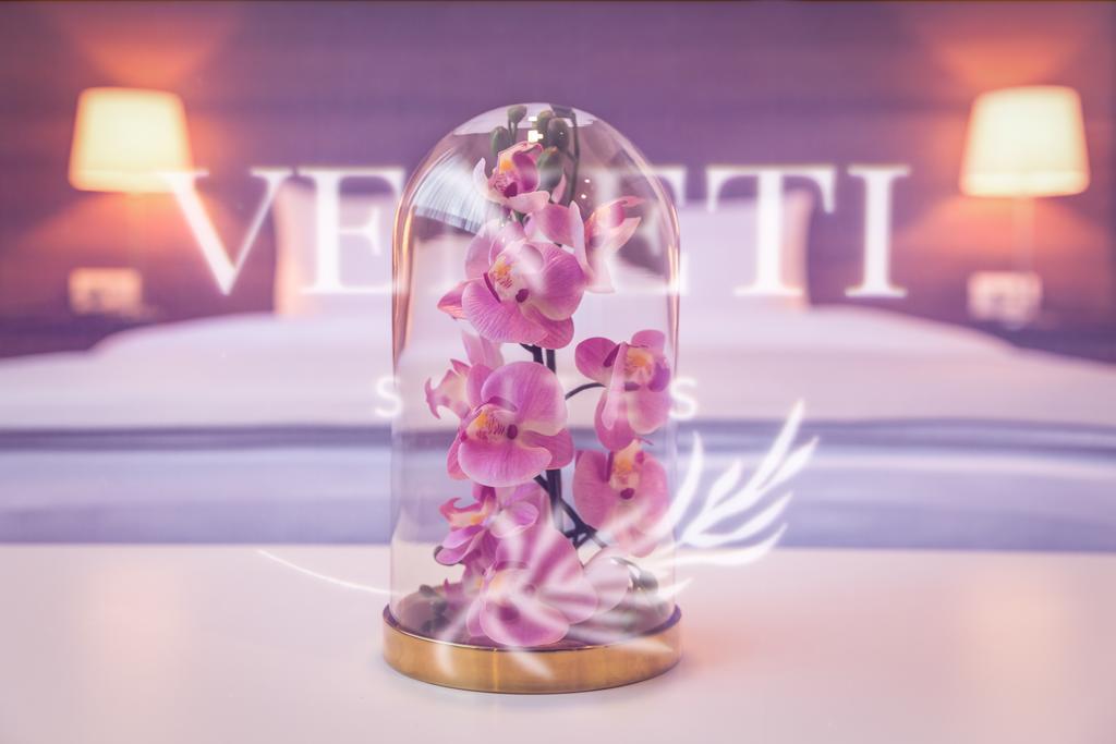 Veneti Suites Beograd Ngoại thất bức ảnh